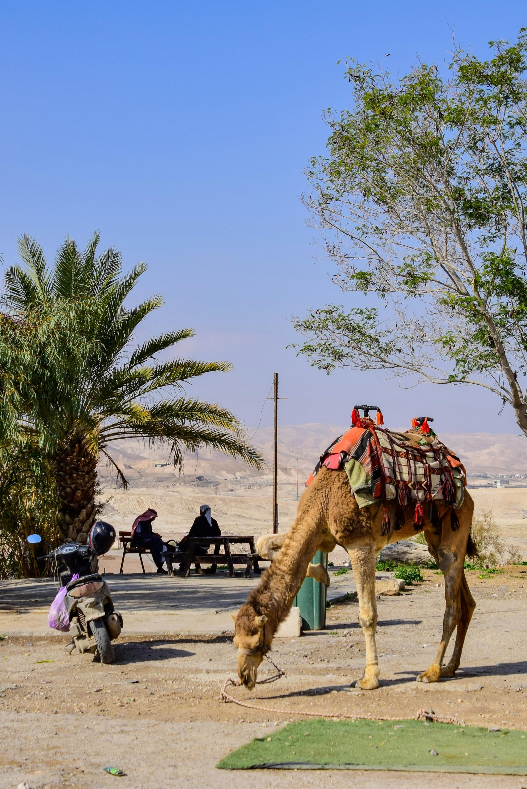 pexels-sefaturksoy-27706797